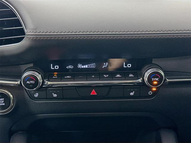 Photo of 2025 Platinum Mazda Mazda3