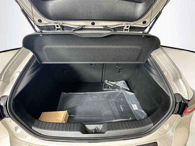 Photo of 2025 Platinum Mazda Mazda3