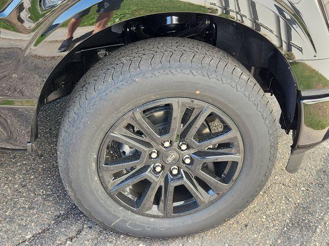 Photo of 2025 Agate Black Metallic Ford F-150
