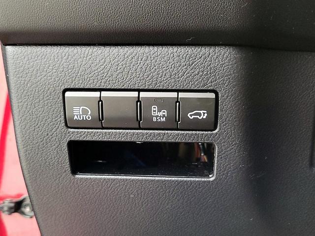 Photo of 2019 Burgundy Lexus NX 300