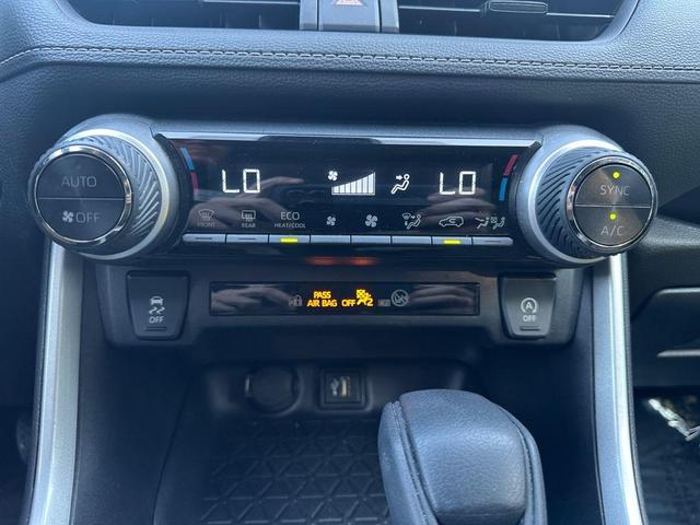 Photo of 2023 Ruby Flare Pearl Toyota RAV4