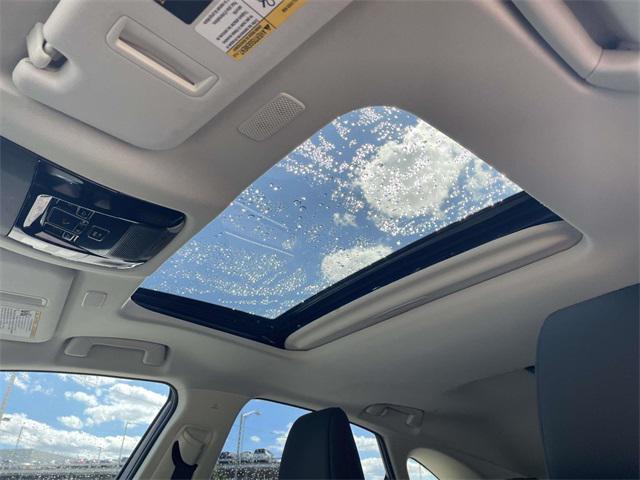 Photo of 2024 Grecian Water Lexus NX 350