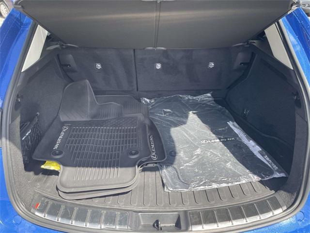 Photo of 2024 Grecian Water Lexus NX 350