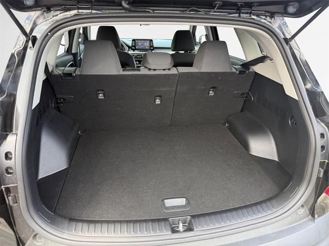 Photo of 2023 Cherry Black Kia Seltos
