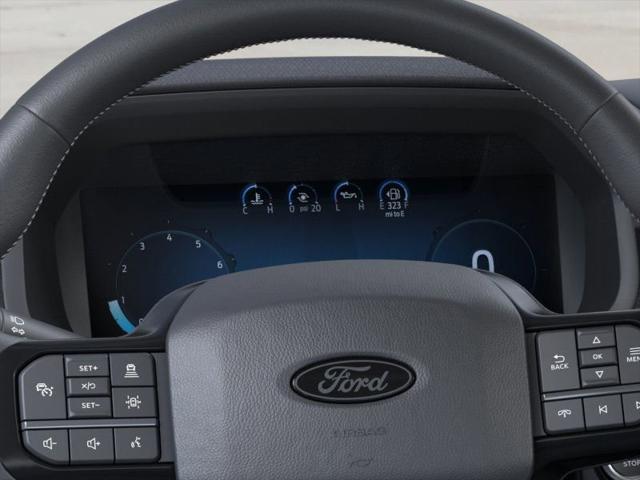 Photo of 2024 Oxford White Ford F-150