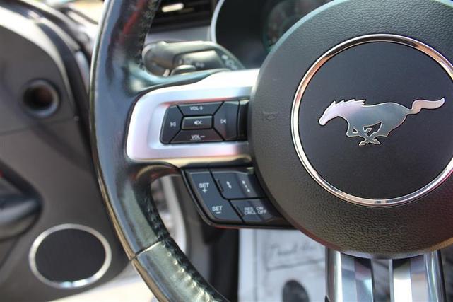 Photo of 2019  Ford Mustang