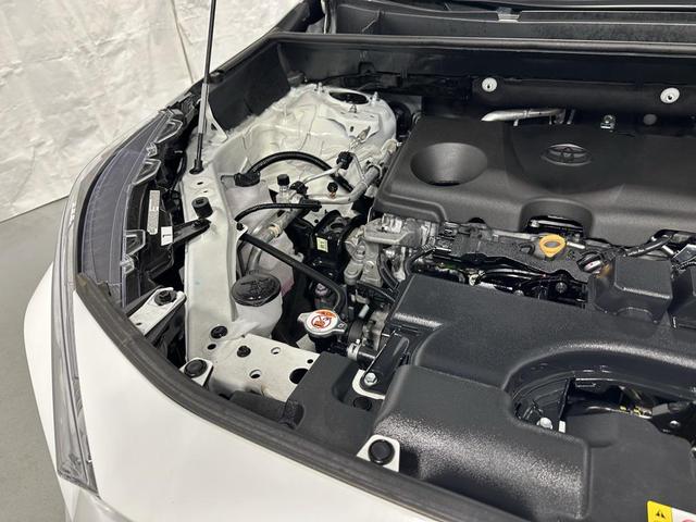 Photo of 2025 Ice Cap Toyota RAV4