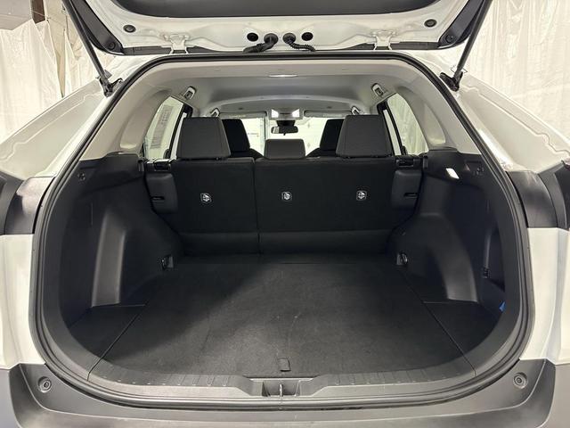 Photo of 2025 Ice Cap Toyota RAV4