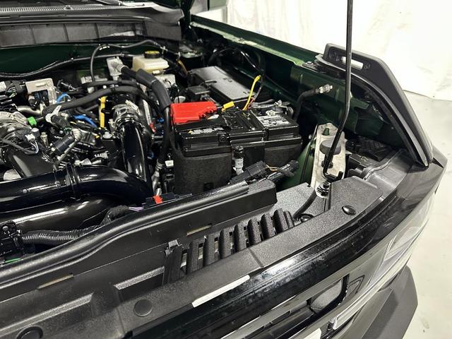 Photo of 2024 Eruption Green Metallic Ford Bronco