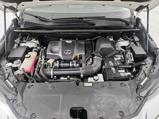 Photo of 2021 White Lexus NX 300
