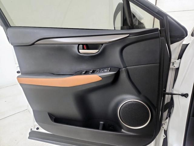 Photo of 2021 White Lexus NX 300