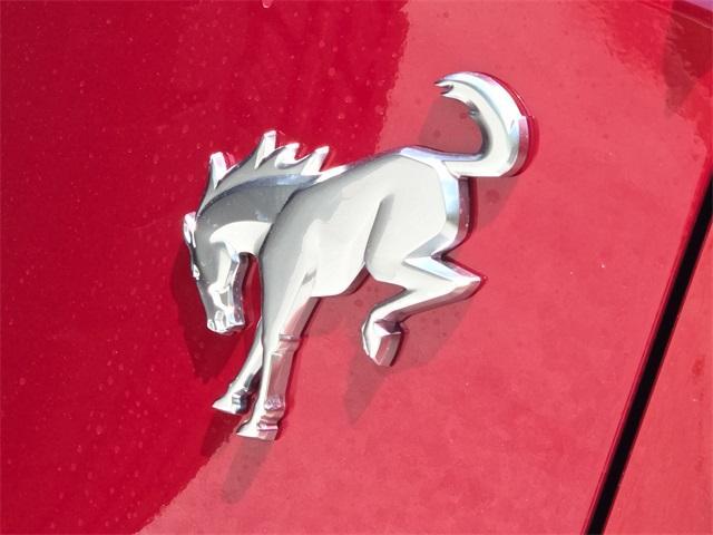 Photo of 2025 Ruby Red Ford Bronco