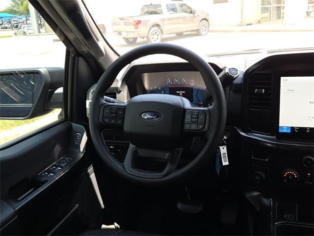 Photo of 2025 Black Ford F-150