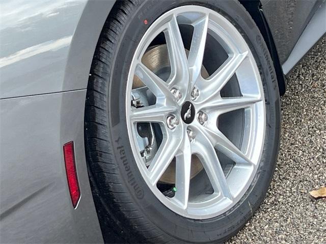 Photo of 2025 Gray Metallic Ford Mustang
