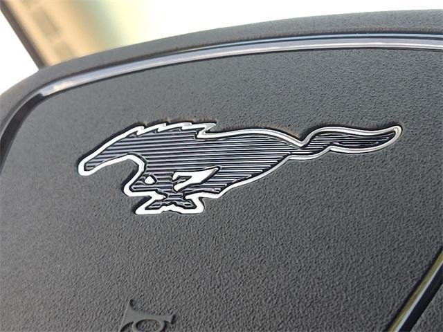 Photo of 2025 Gray Metallic Ford Mustang Mach-E
