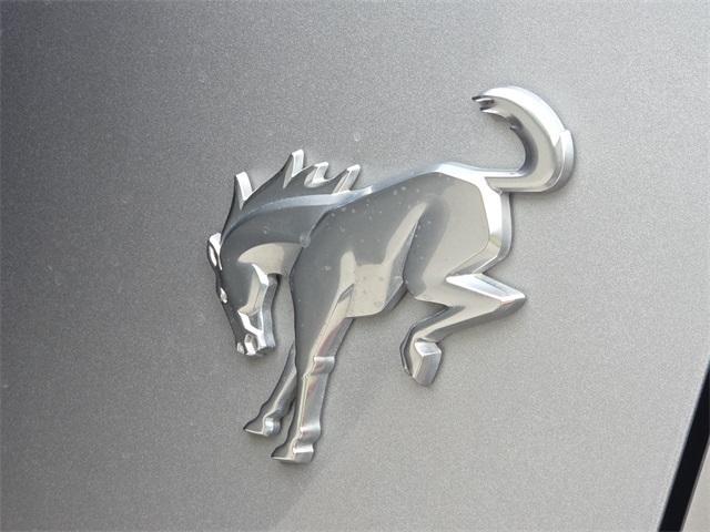 Photo of 2025 Avalanche Ford F-250