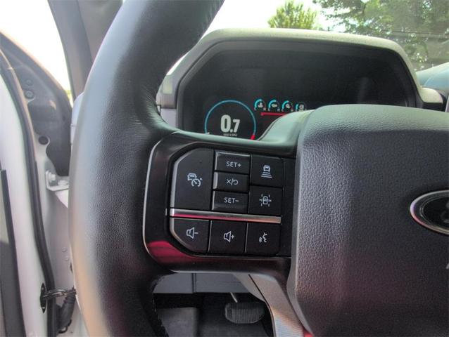 Photo of 2023 Star White Ford F-150