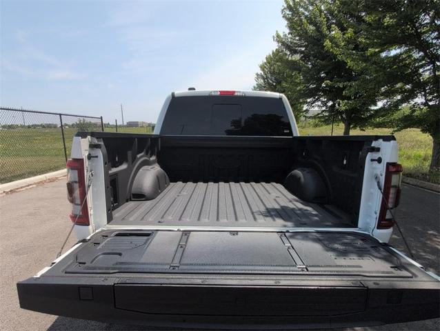 Photo of 2023 Star White Ford F-150