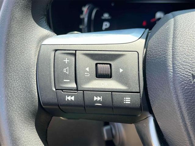 Photo of 2024 Graphite Shadow INFINITI QX60