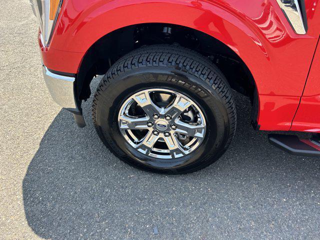 Photo of 2023 Race Red Ford F-150