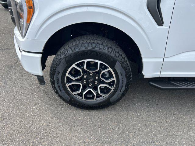 Photo of 2023 Oxford White Ford F-150