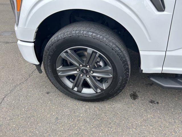 Photo of 2023 Oxford White Ford F-150