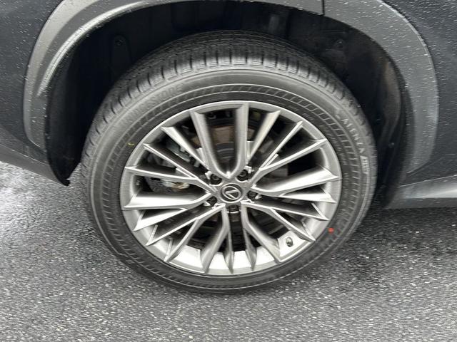 Photo of 2022 Caviar Lexus NX 350