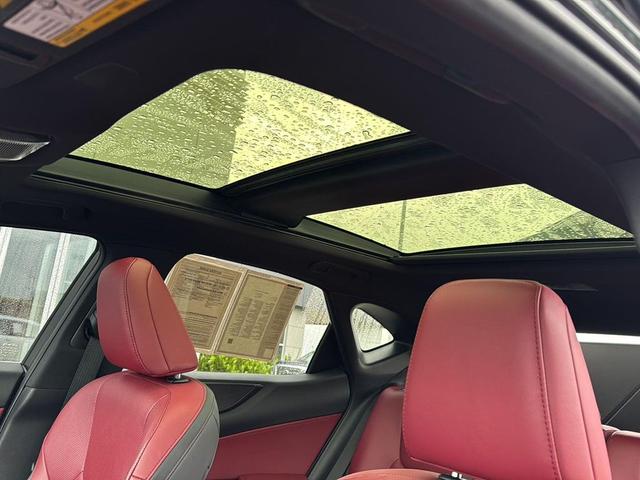 Photo of 2022 Caviar Lexus NX 350