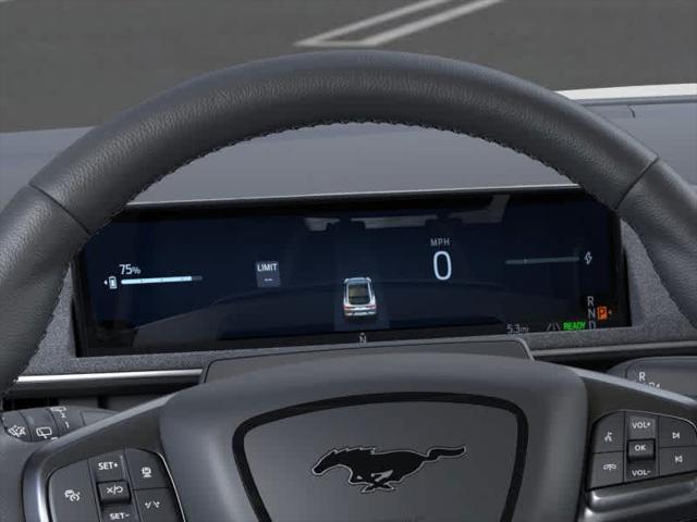Photo of 2025 Shadow Black Ford Mustang Mach-E
