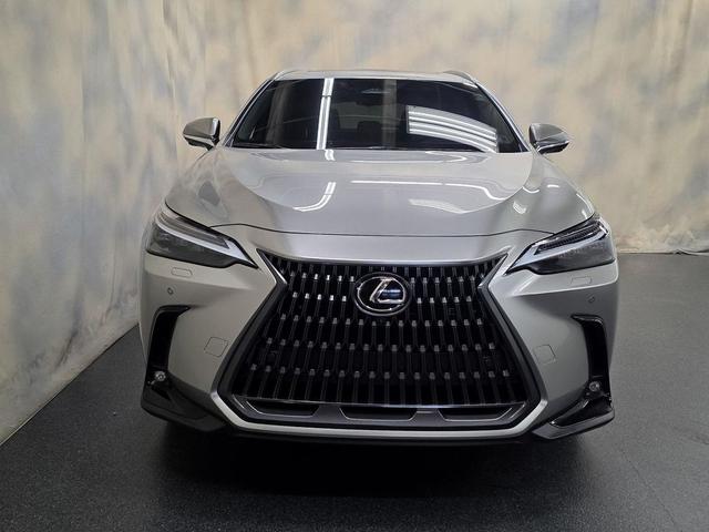 Photo of 2025 Atomic Silver Lexus NX 450h+