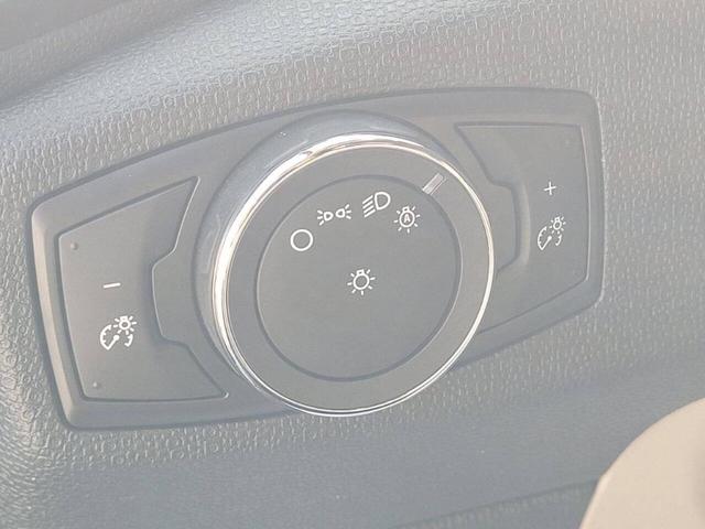 Photo of 2021 OTHER Ford EcoSport