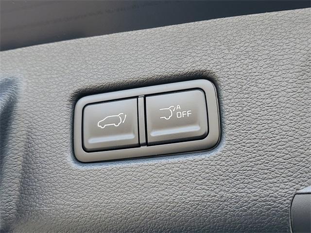 Photo of 2025 Ebony Black Kia Telluride