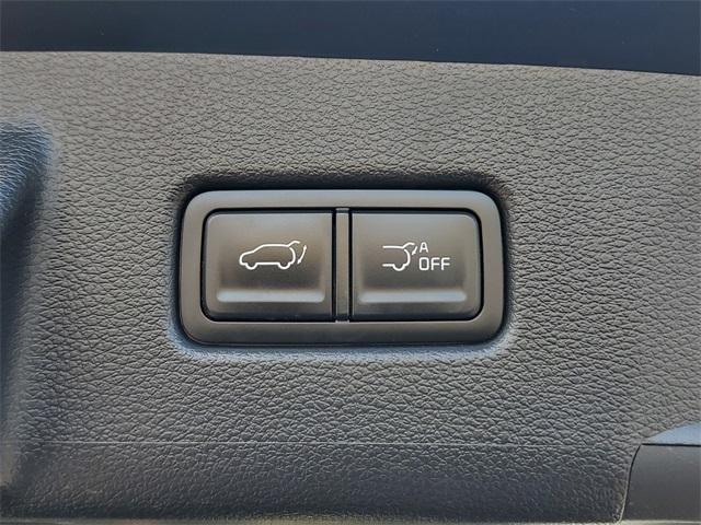 Photo of 2025 Ebony Black Kia Telluride