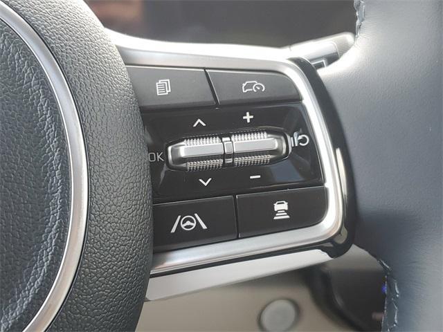 Photo of 2026 Metal Kia Carnival