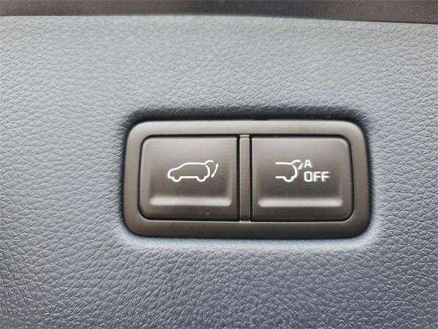 Photo of 2026 Metal Kia Carnival