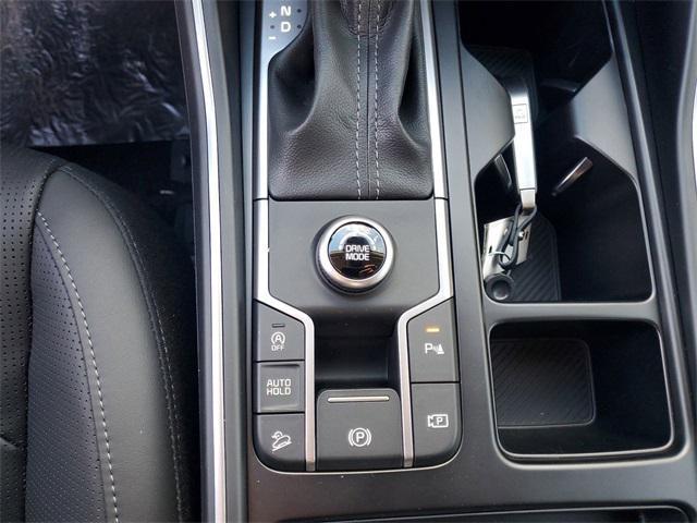 Photo of 2025 Panthera Metal Kia Sorento