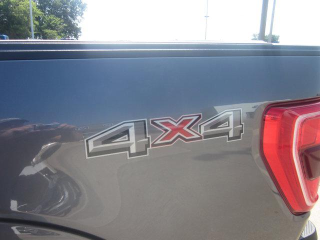 Photo of 2023 Gray Metallic Ford F-150