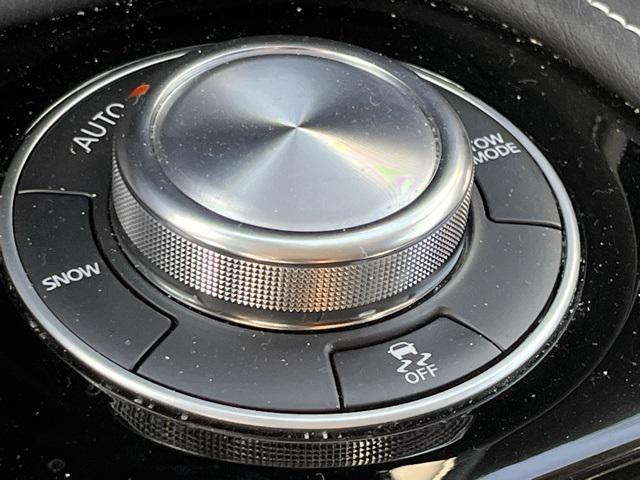Photo of 2023 Black Obsidian INFINITI QX80