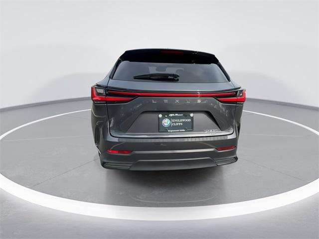 Photo of 2022 Cloudburst Gray Lexus NX 250