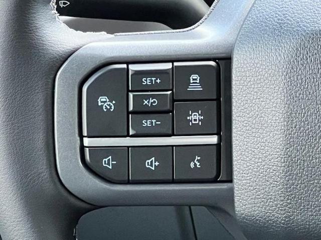 Photo of 2024 Agate Black Metallic Ford F-150