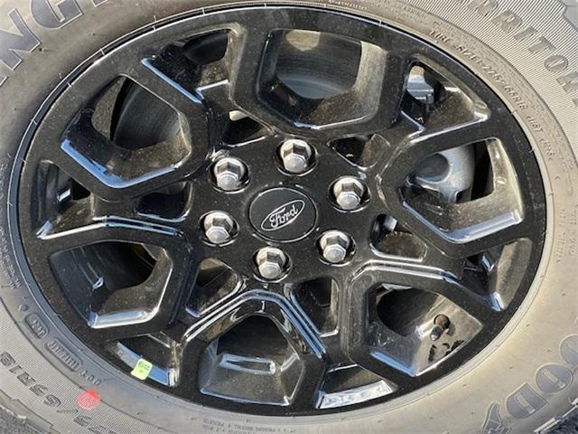 Photo of 2025 Red Metallic Ford F-150