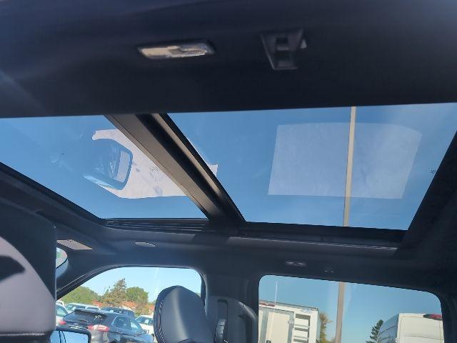 Photo of 2025 Green Ford F-150