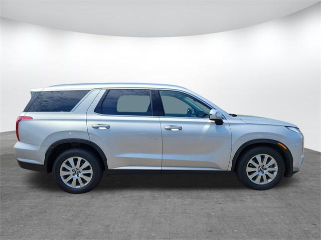 Photo of 2024 Typhoon Silver Hyundai PALISADE