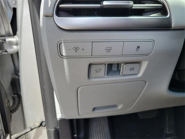 Photo of 2024 Typhoon Silver Hyundai PALISADE