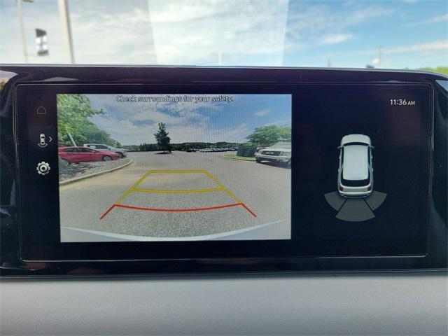 Photo of 2024 Typhoon Silver Hyundai PALISADE