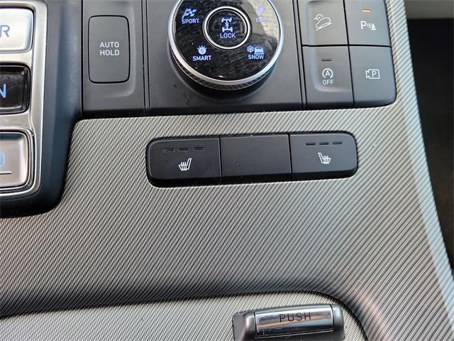 Photo of 2024 Typhoon Silver Hyundai PALISADE