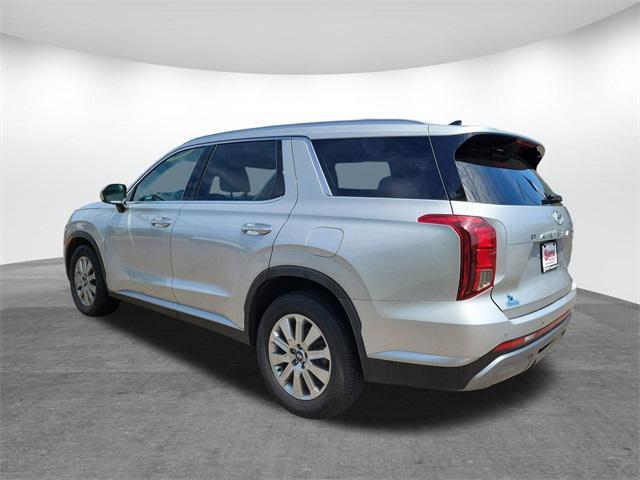 Photo of 2024 Typhoon Silver Hyundai PALISADE
