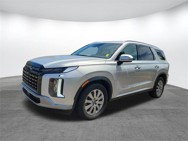 Photo of 2024 Typhoon Silver Hyundai PALISADE