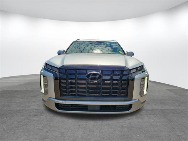 Photo of 2024 Typhoon Silver Hyundai PALISADE