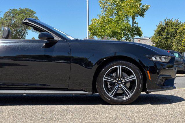 Photo of 2024 Shadow Black Ford Mustang